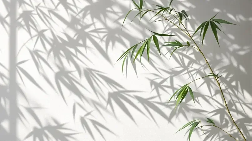 竹影摇风 - 达达兔影院精选影像封面